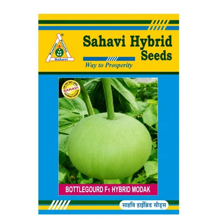 Sahavi Hybrid Bottle Gourd F1 Modak Seeds