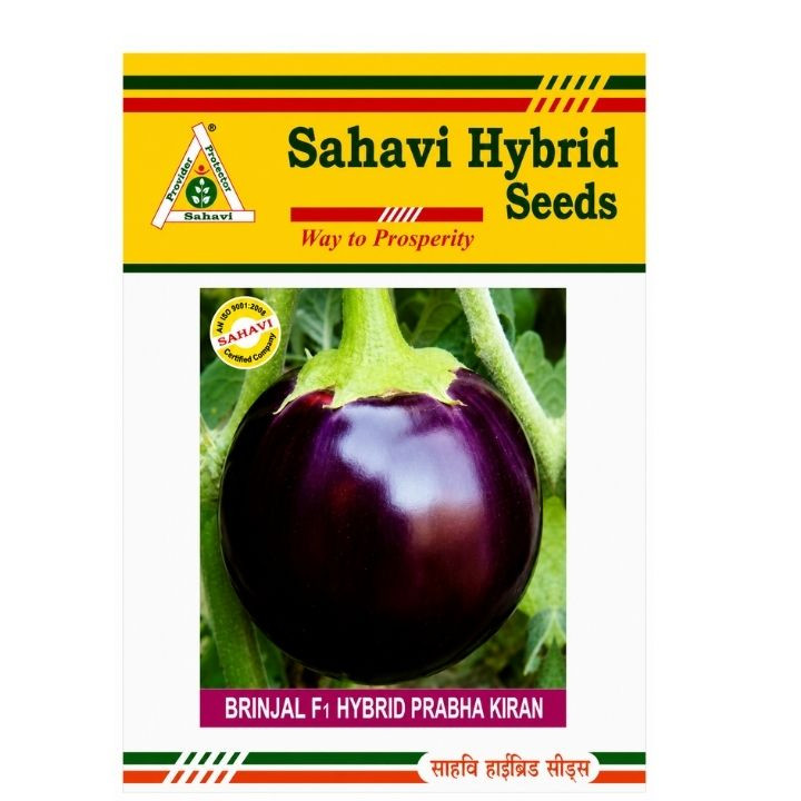 Sahavi Hybrid Brinjal F1 Prabhakiran Seeds
