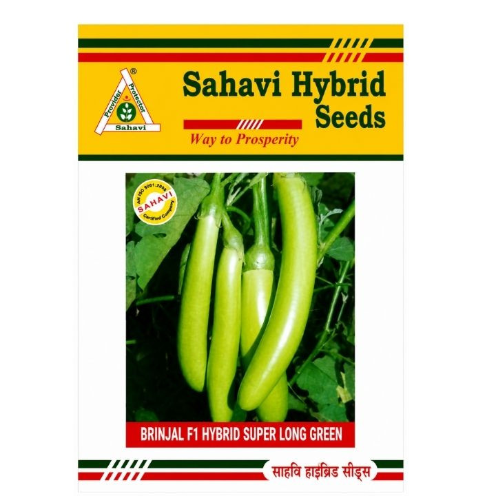 Sahavi Hybrid Brinjal F1 Super Long Green Seeds