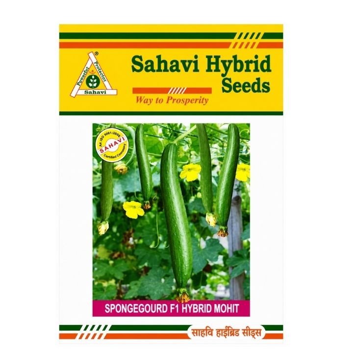 Sahavi Hybrid Sponge Gourd F1 Mohit Seeds