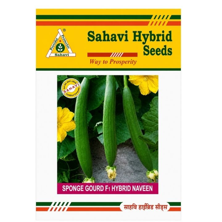 Sahavi Hybrid Sponge Gourd F1 Naveen Seeds