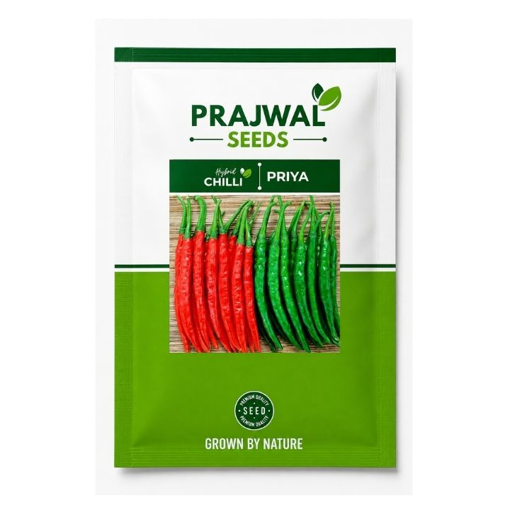 Prajwal Priya Hybrid Chilli Seeds