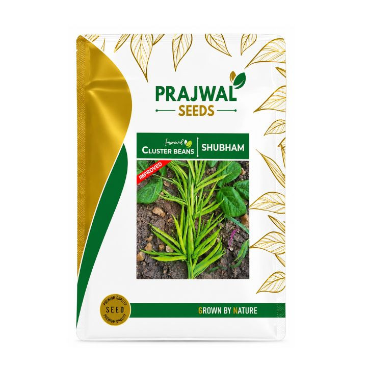 Prajwal Seeds Cluster Beans Shubham Seeds