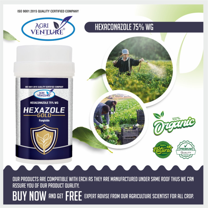 Agriventure Hexazole Gold Systemic Fungicide - Hexaconazole 75% WG – thumb