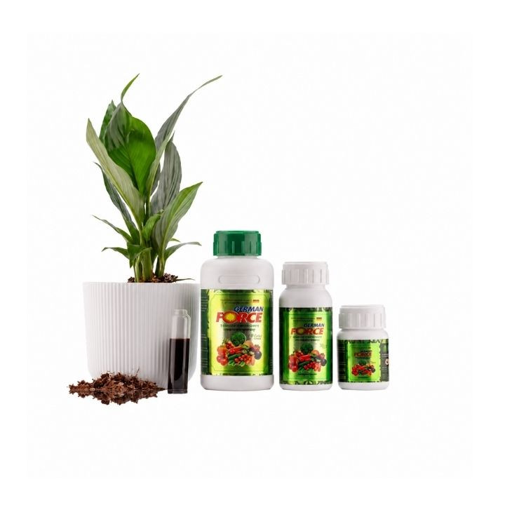 Hapl German Force Plant Growth Regulator