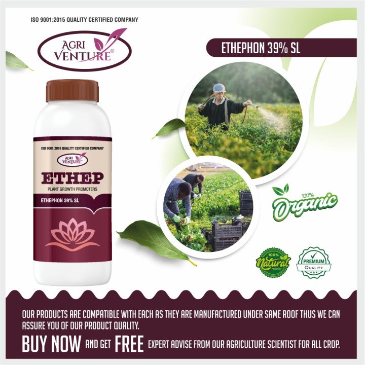Agriventure Ethep Plant Growth Regulator - Ethephon 39% SL – thumb