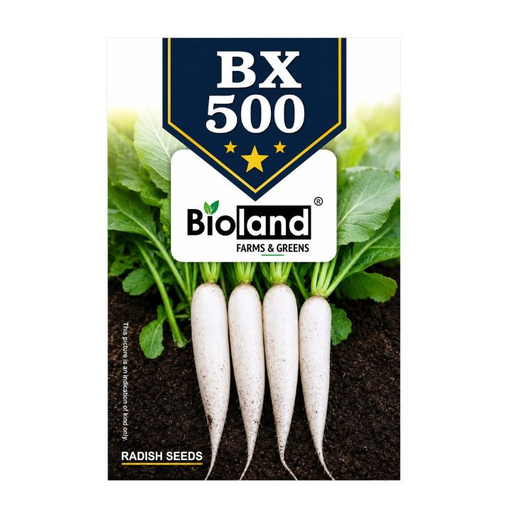 Bioland BX 500 Radish Seeds