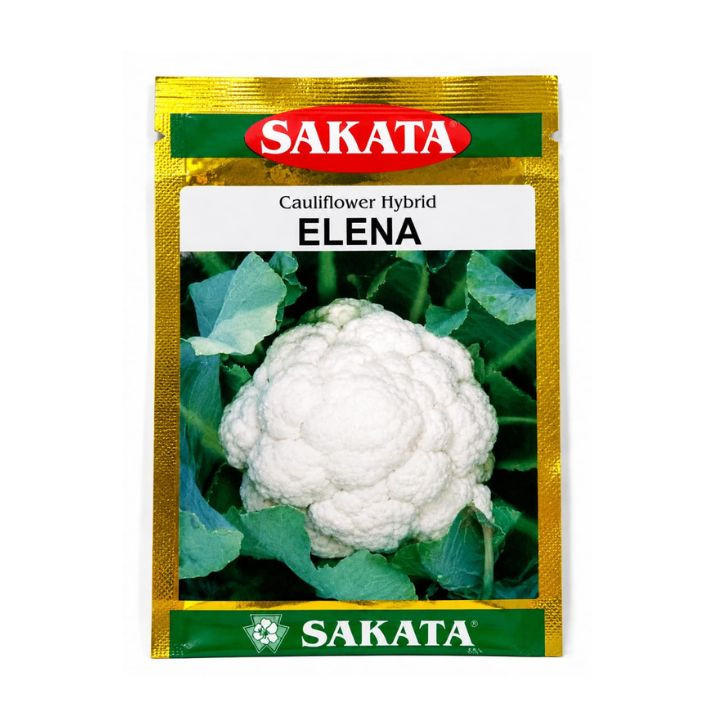 Sakata Elena Hybrid Cauliflower Seeds