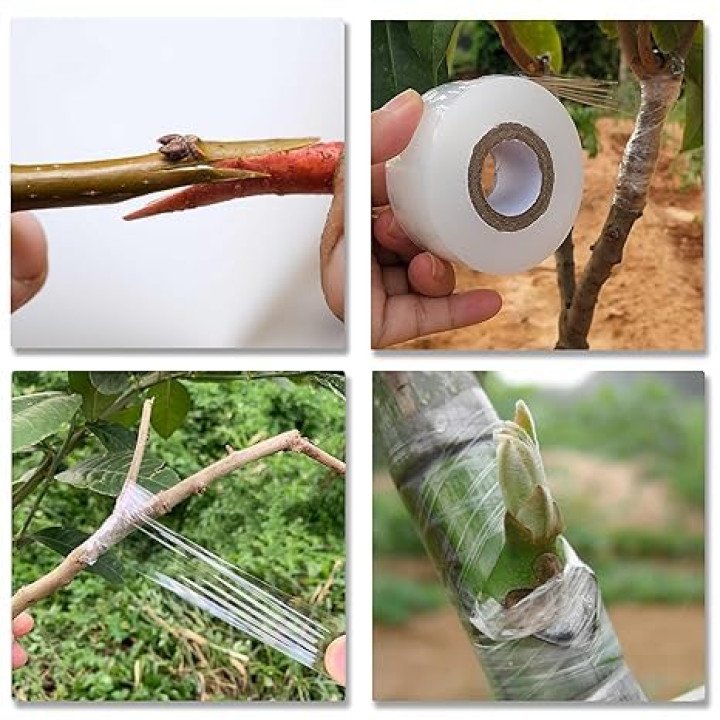 2 Inch x 100 Meter Stretchable Grafting Tape for Plant Grafting (Pack of 2) – thumb