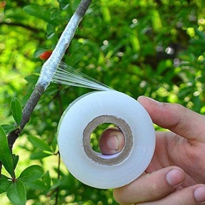 2 Inch x 100 Meter Stretchable Grafting Tape for Plant Grafting (Pack of 2) – thumb