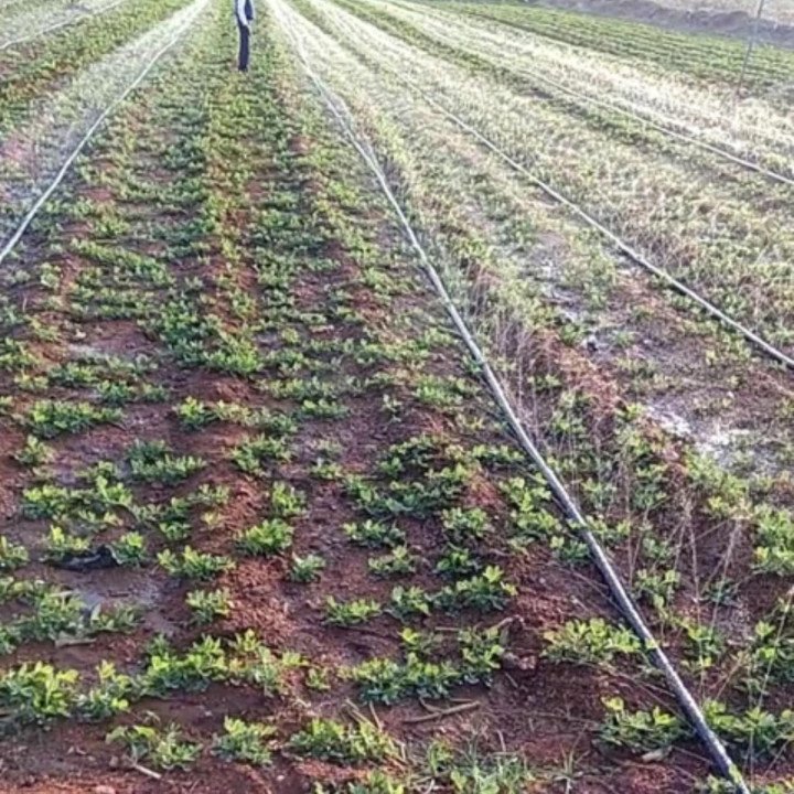 40mm UV Protected Agriculture Rain Pipe – 100 Meter Roll – thumb