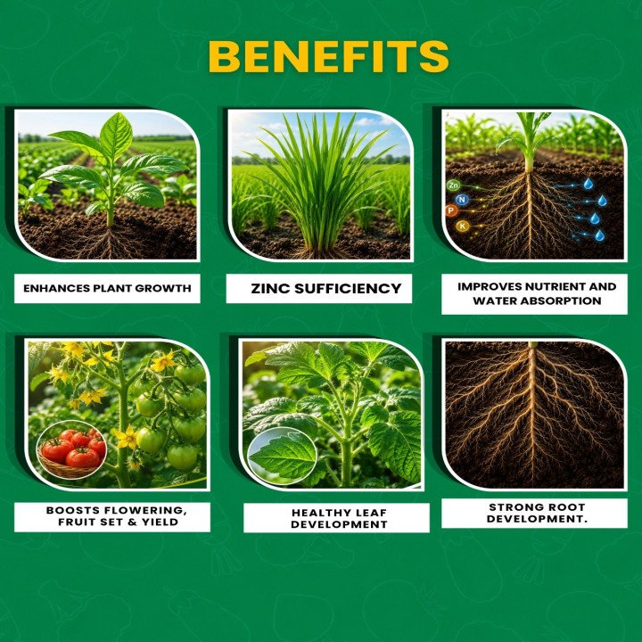 Paidavaar Hyzinc Zinc Sulphate (Zn 21% + S 10%) Micronutrient Fertilizer – thumb