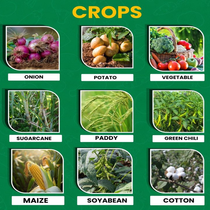 Paidavaar Hyzinc Zinc Sulphate (Zn 21% + S 10%) Micronutrient Fertilizer – thumb