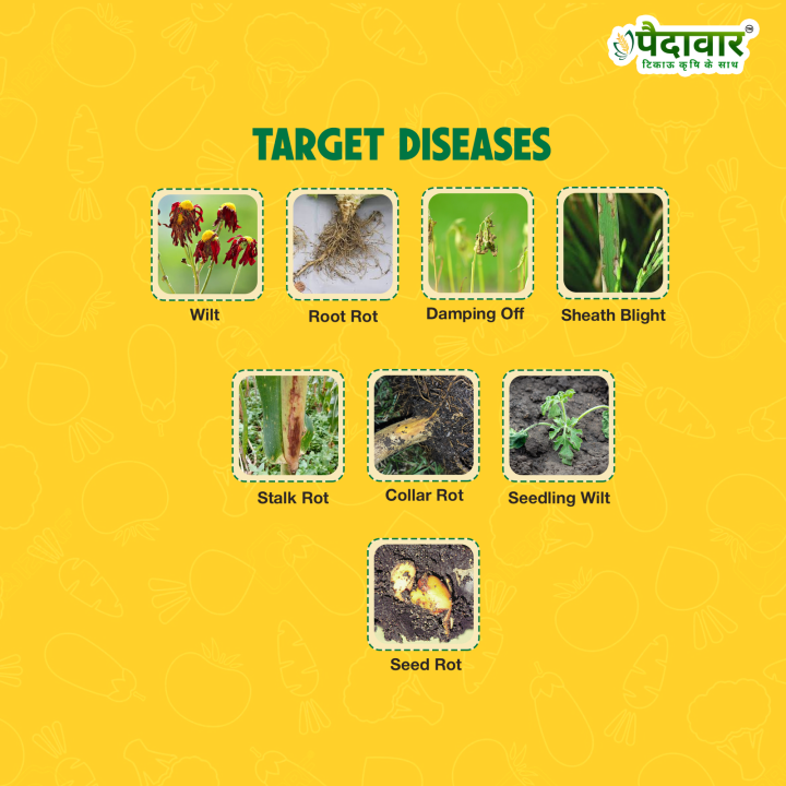 Paidavaar Trison Bio Fungicide - Trichoderma Viride 1.5% WP – thumb