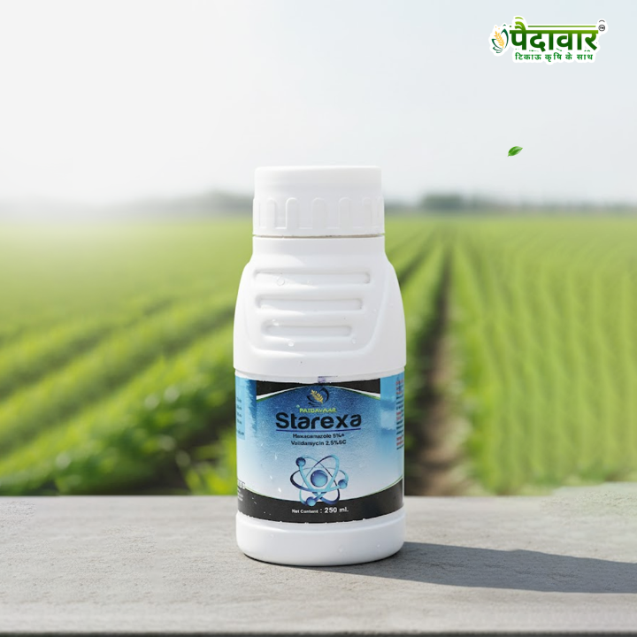Paidavaar Starexa Fungicide - Hexaconazole 5% + Validamycin 2.5% SC – thumb