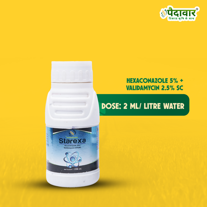 Paidavaar Starexa Fungicide - Hexaconazole 5% + Validamycin 2.5% SC – thumb