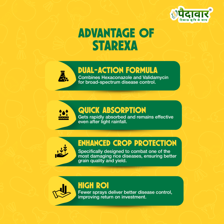 Paidavaar Starexa Fungicide - Hexaconazole 5% + Validamycin 2.5% SC – thumb