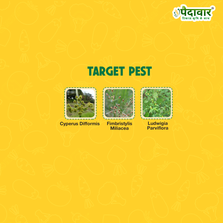 Paidavaar Calron Fertilizer - Calcium Nitrate 5.7% + Boron 6% – thumb