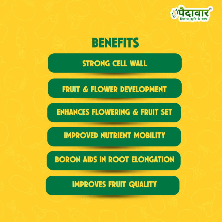Paidavaar Calron Fertilizer - Calcium Nitrate 5.7% + Boron 6% – thumb