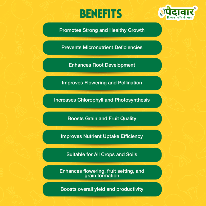 Paidavaar Zinc High Multi Micronutrient Fertilizer – thumb