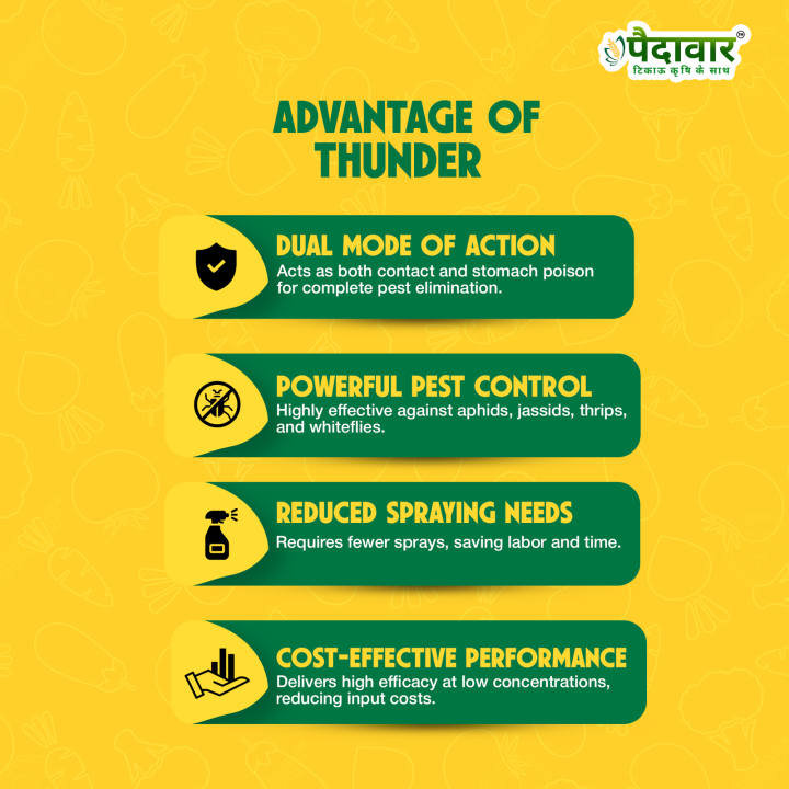 Paidavaar Thander Insecticide -Thiamethoxam 25% WG – thumb