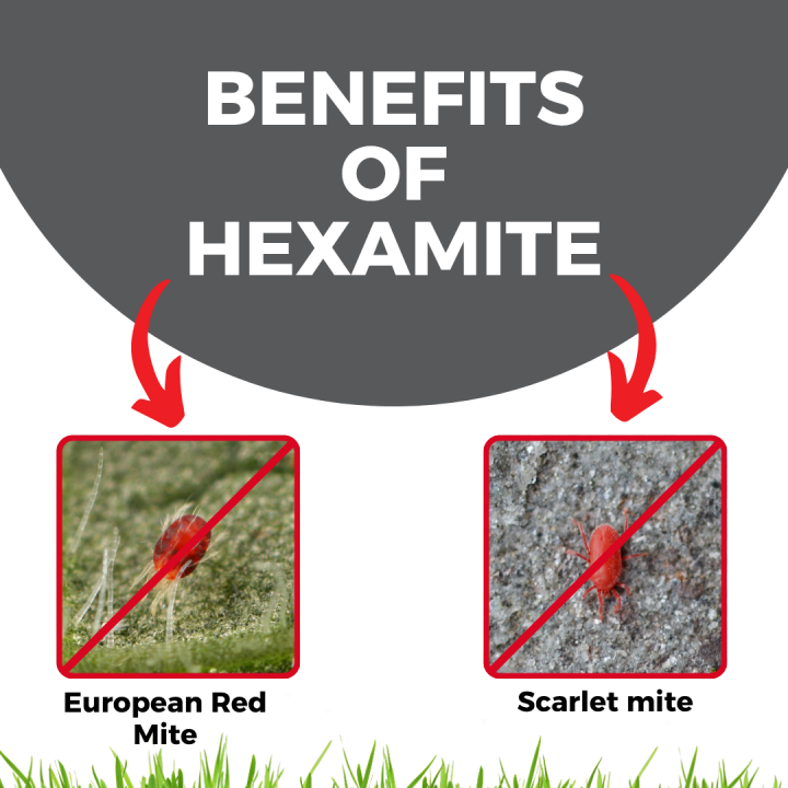 Katyayani Hexamite | Hexythiazox 5.45% EC Insecticide – thumb