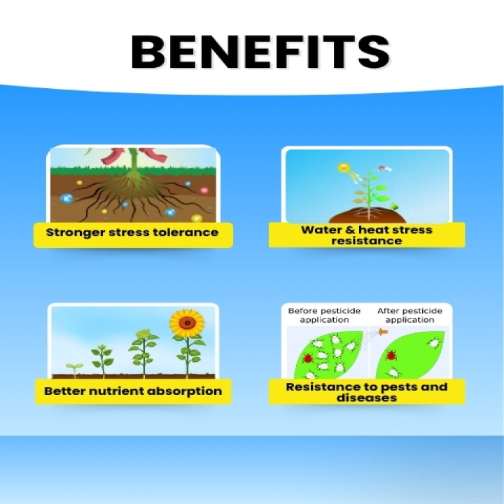 Katyayani K-Ortho Orthosilicic Acid (OSA) 2% Fertilizer – thumb