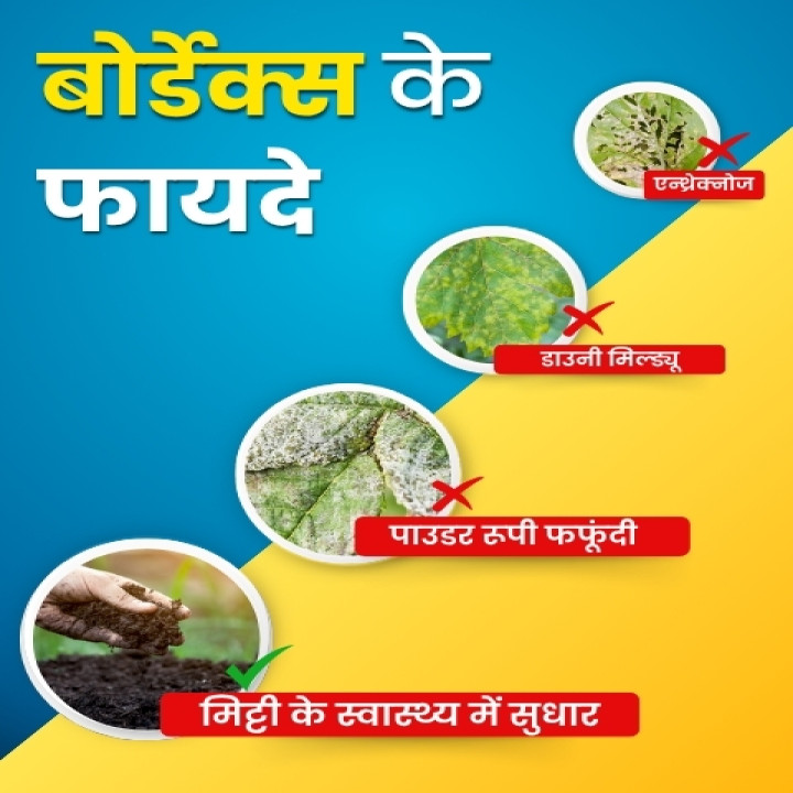 Katyayani Bordeaux Mixture Fungicide – thumb