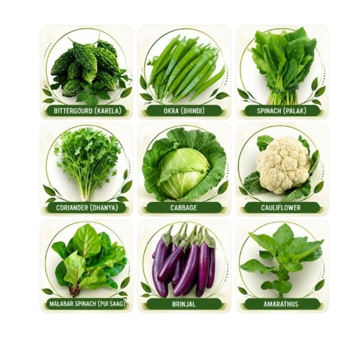 Agri Bazar 9 Varieties Vegetable Seeds Combo Pack | 1100+ Seeds