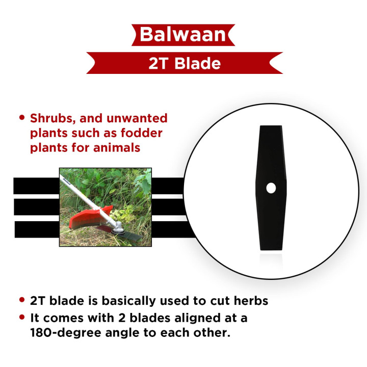 Blade 2T Balwaan Diamond Cut – thumb