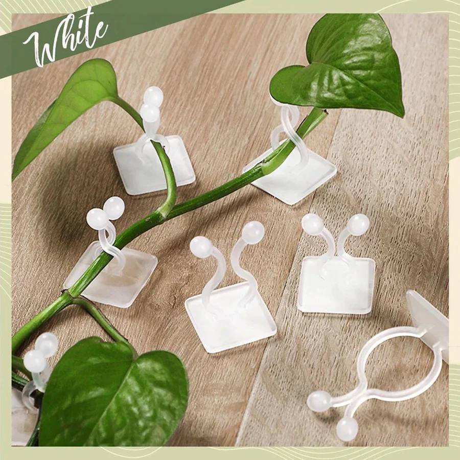 Wall Plant Climbing Clip Widely Used For Holding Plants