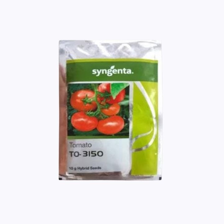 Syngenta TO-3150 Tomato Seeds