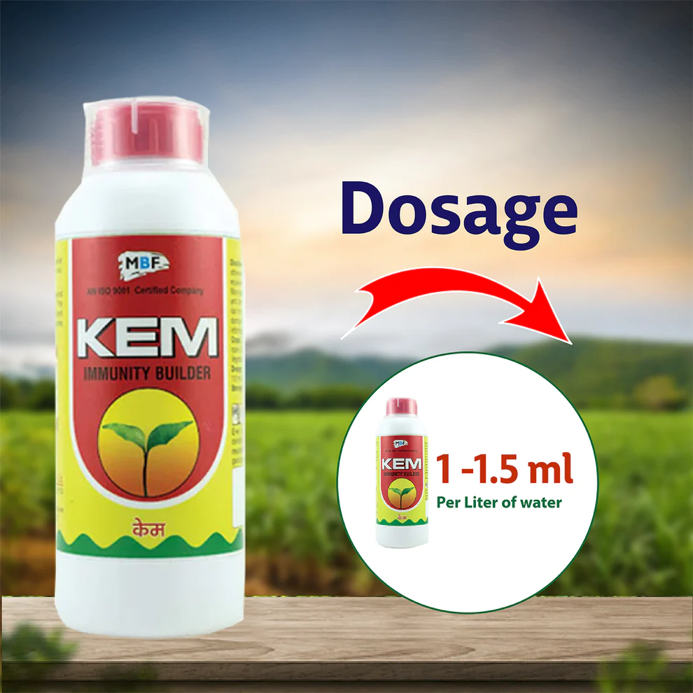 MBF Kem Insecticide - Emamectin Benzoate 1.9% EC – thumb
