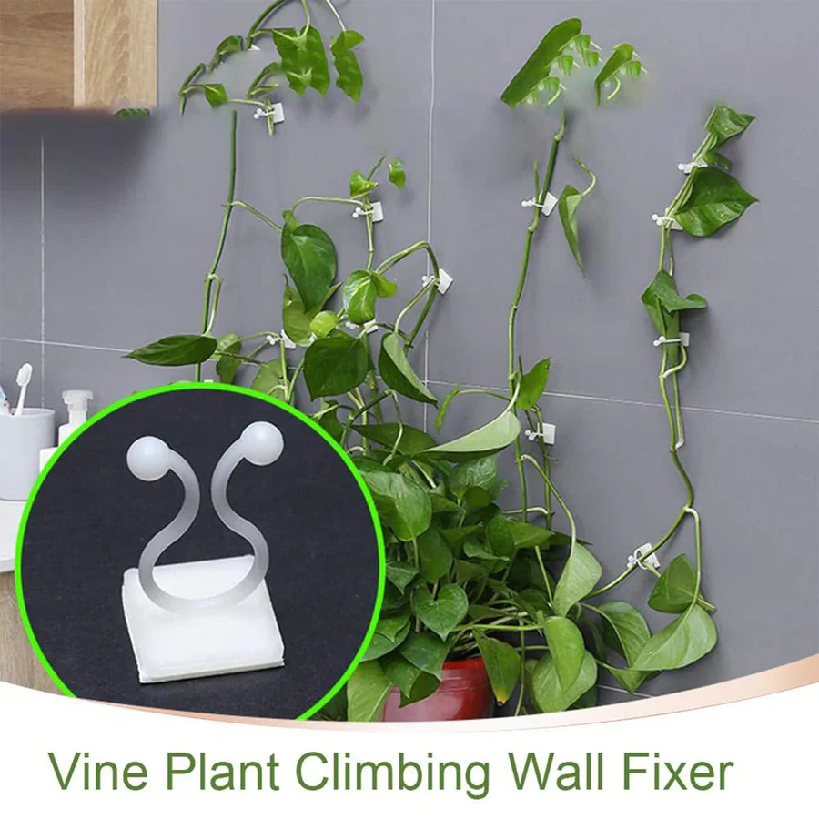 Wall Plant Climbing Clip Widely Used For Holding Plants – thumb