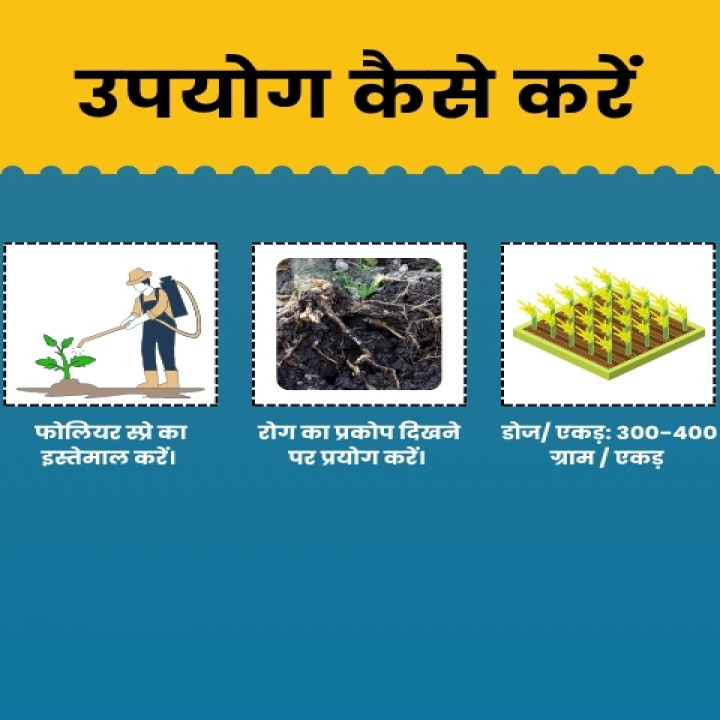 Katyayani Samartha Fungicide- Carbendazim 12 % + Mancozeb 63 % WP – thumb