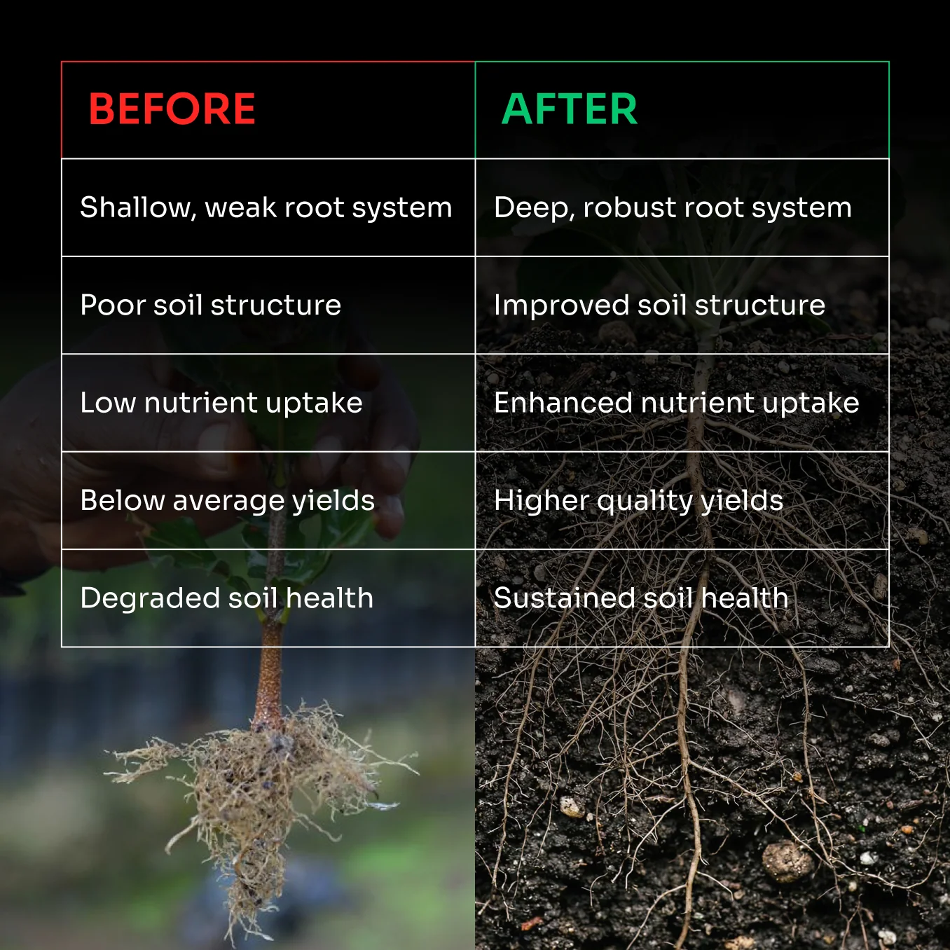 Lacgene Go Green Muhurat Organic Root and Yield Enhancer – thumb