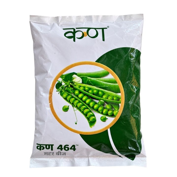 Kern 464 Peas Seeds – Sweet Green Matar Seeds
