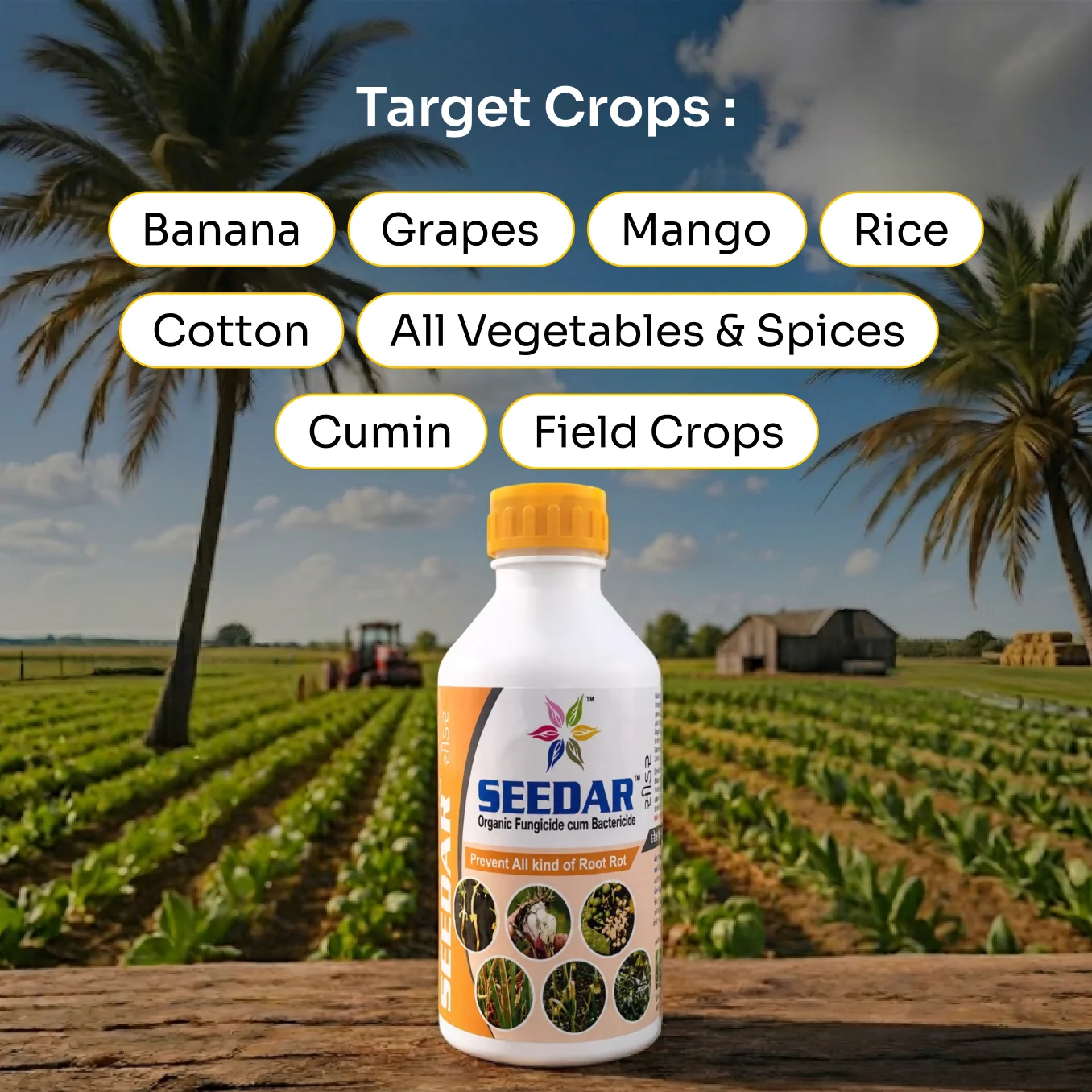 Lacgene Seedar Organic Fungicide cum Bactericide for Root-Rot Management - image 6 of 8