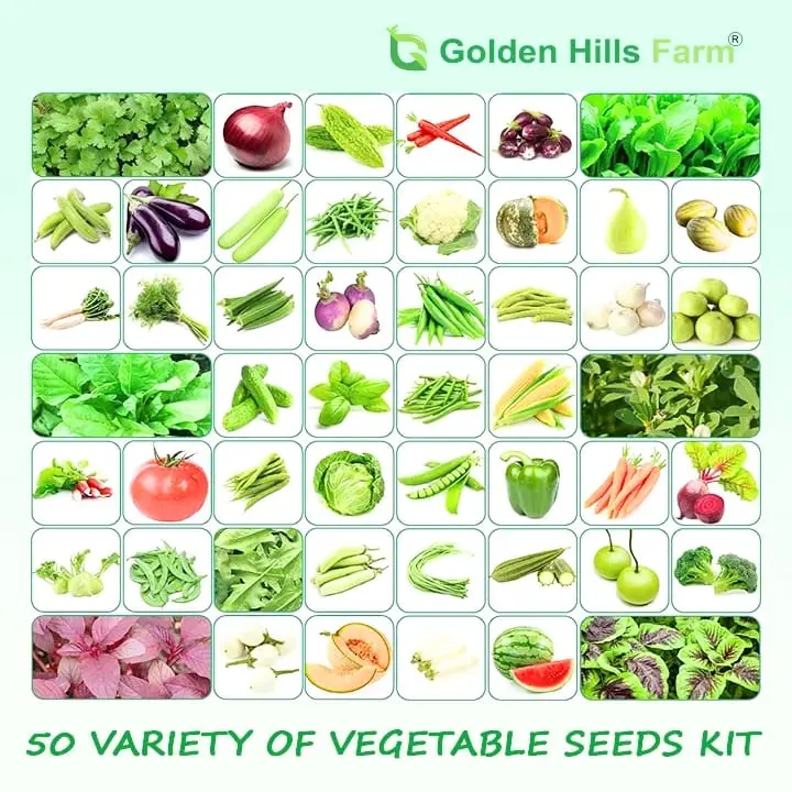 50 Varieties of Vegetable Seeds Kit