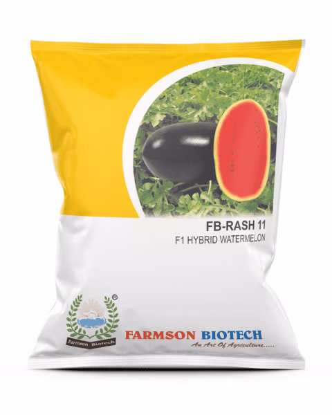 Farmson FB Rash 11 F1 Hybrid Tarbooj High Yield Watermelon Seeds