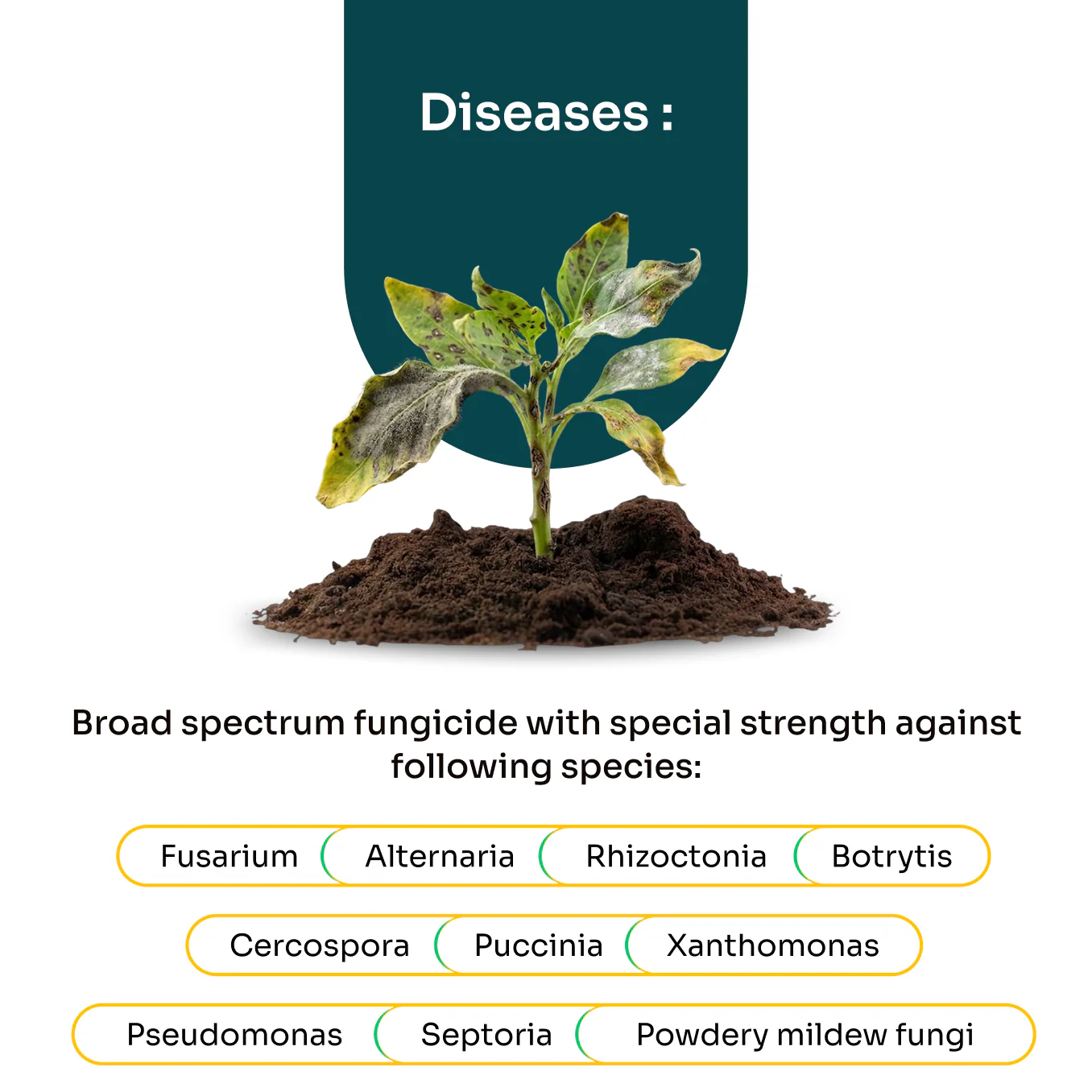 Laccgene Cumacin Organic Foliar Fungicide – thumb