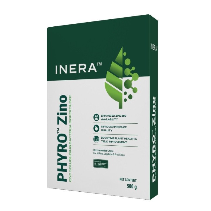 Inera Phyro Zino Zinc Solubilising Bacteria Biofertiliser
