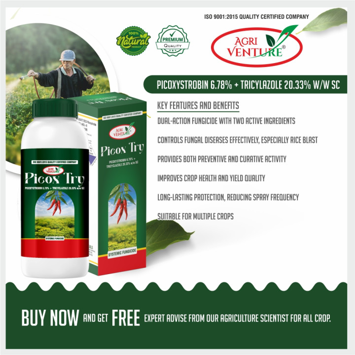 AgriVenture Picox Try Picoxystrobin 6.78% + Tricyclazole 20.33% SC Fungicide – thumb