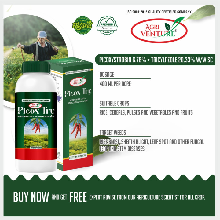 AgriVenture Picox Try Picoxystrobin 6.78% + Tricyclazole 20.33% SC Fungicide – thumb