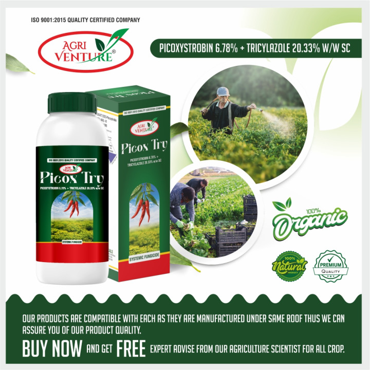 AgriVenture Picox Try Picoxystrobin 6.78% + Tricyclazole 20.33% SC Fungicide – thumb