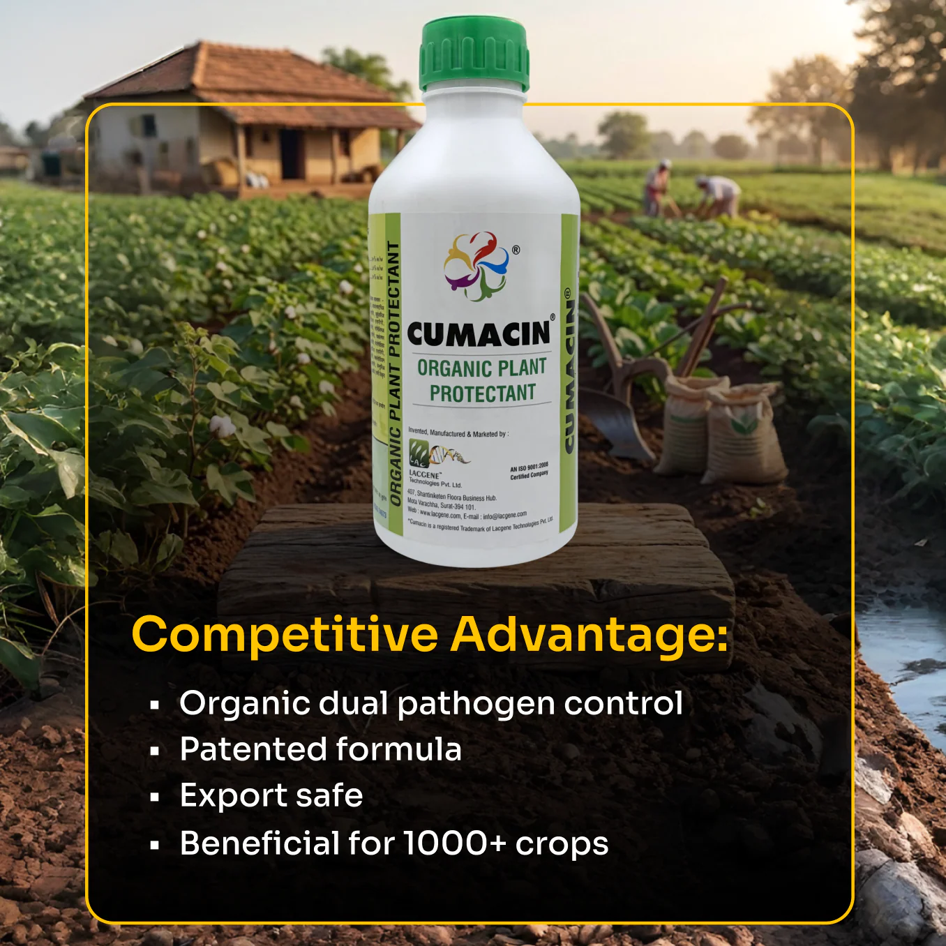 Laccgene Cumacin Organic Foliar Fungicide – thumb