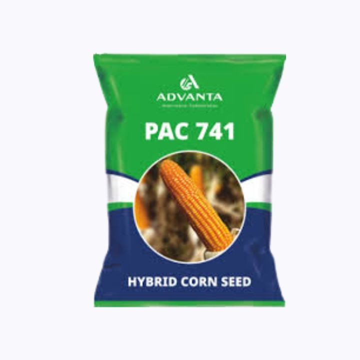 Advanta PAC 741 Hybrid Corn Seeds