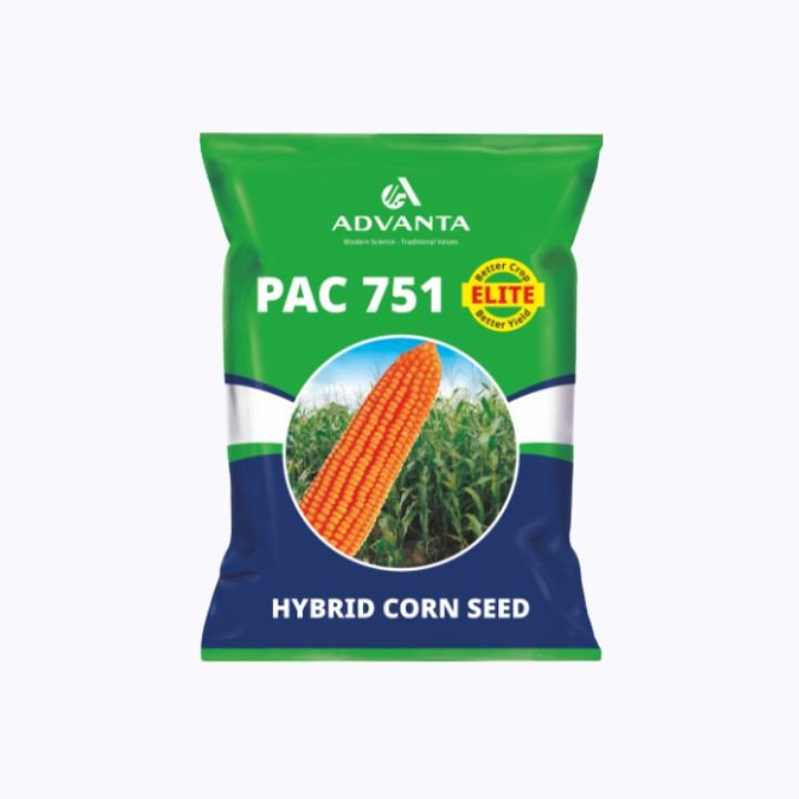 Advanta PAC 751 Elite Hybrid Maize Seeds