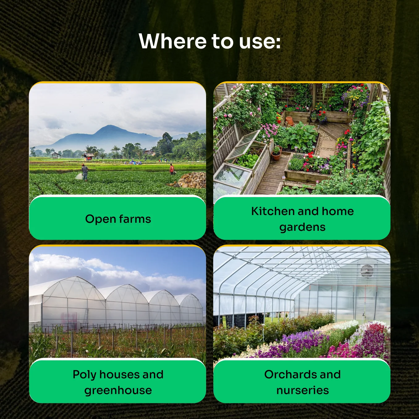 Lacgene Lamour Botanical Thrips and Aphid Repellent – thumb