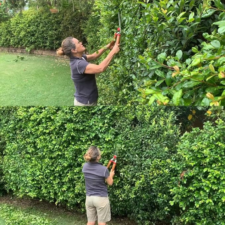 Wolf Garten HS-W Hedge Shear with Wooden Handle – thumb